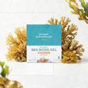 Sea Moss : le Guide Ultime sur la Mousse de Mer et ses Bienfaits