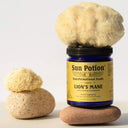 Lion’s Mane : pourquoi tout le monde en parle (et comment choisir le meilleur format pour vous)