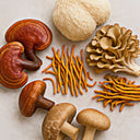 Les bienfaits des champignons adaptogènes - Journal SuperKure.
