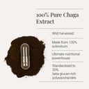 Chaga capsules