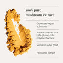 Cordyceps Powder