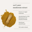 Cordyceps capsules