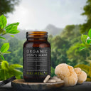 Lion's Mane capsules