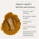 Lion's Mane capsules