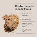 Cognitive Capsules