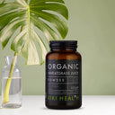 Wheatgrass Juice Powder