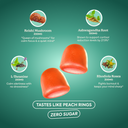 WonderCalm Gummies sans sucre - Plant People. Ashwagandha, Reishi, de L-Théanine et de Rhodiola.